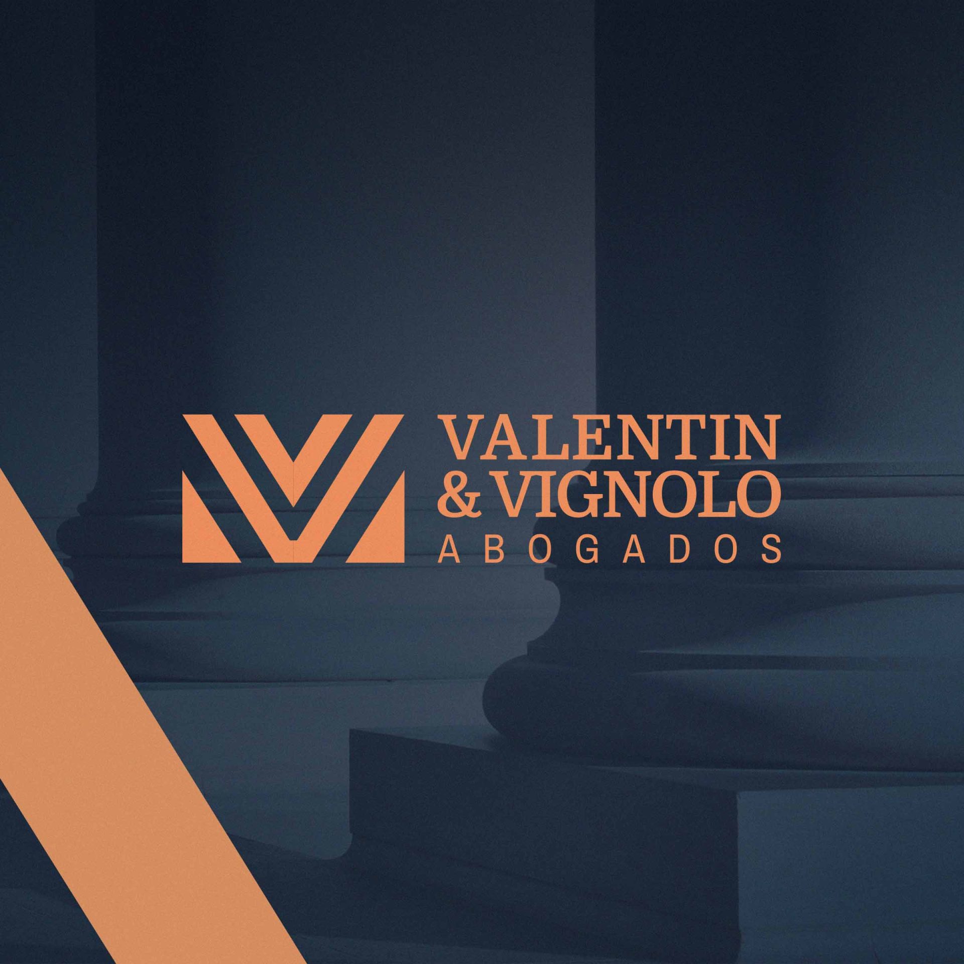 V&V